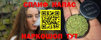 стаф Бузулук