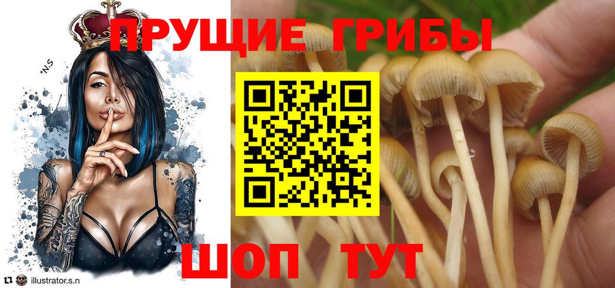 что такое   Галлюциногенные грибы GOLDEN TEACHER  Муравленко  Вход с VPN  Псилоцибиновые грибы Magic Shrooms 